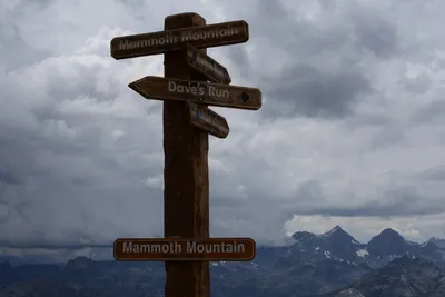 DSC_3047 (Large).JPG